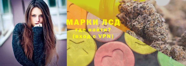 mdpv Богородск